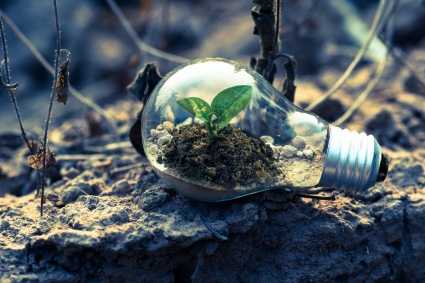 Climate Technology Transfer: How International Mechanisms Drive Climate Action