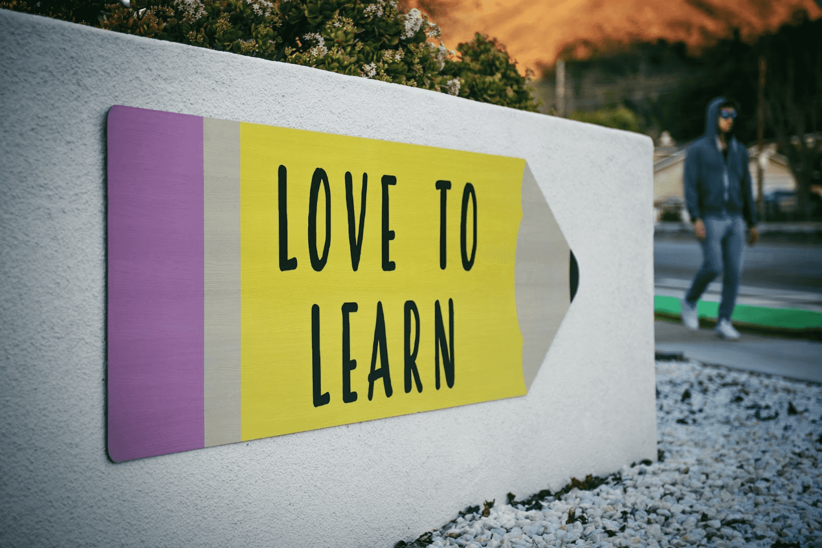 The Importance of Climate and Environmental Education