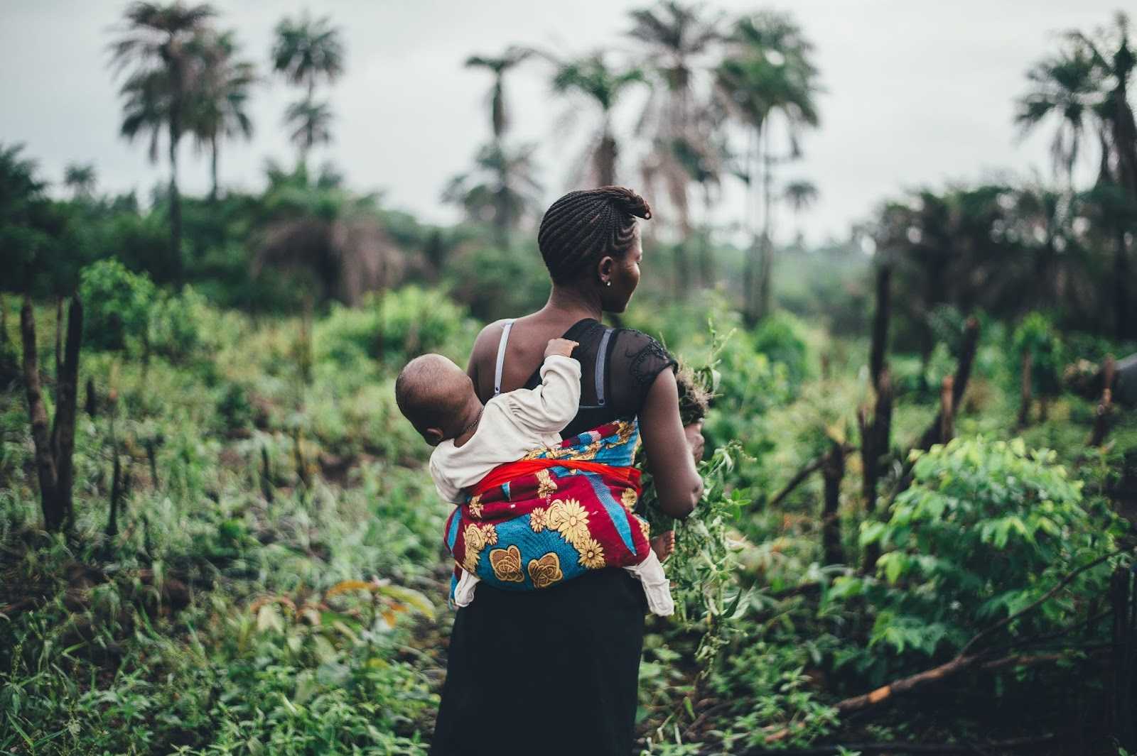 The Relationship between Women’s Empowerment and Climate Change